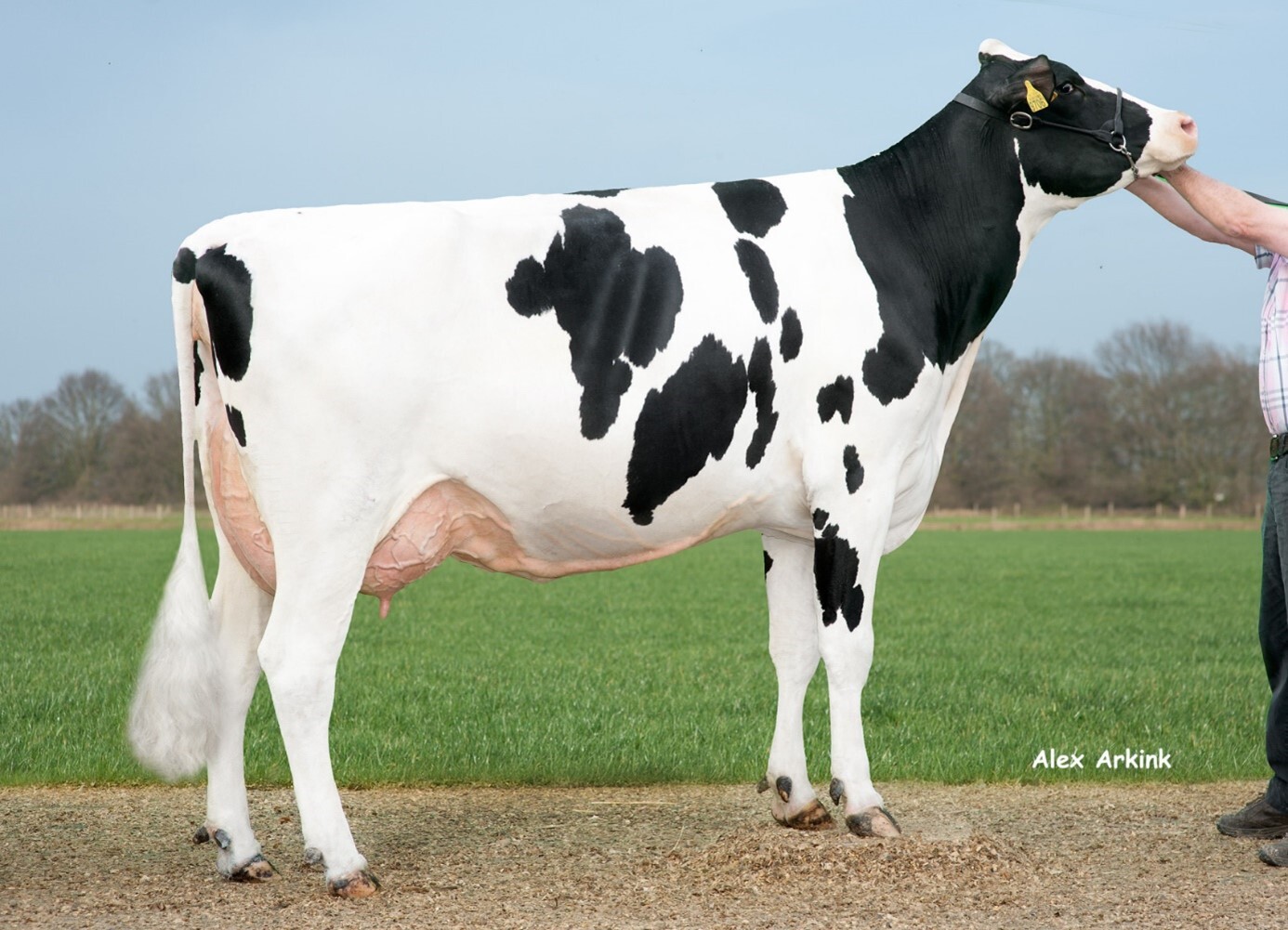 Delta Rena P, daughter of Etazon Renate, produced 122.880 litres