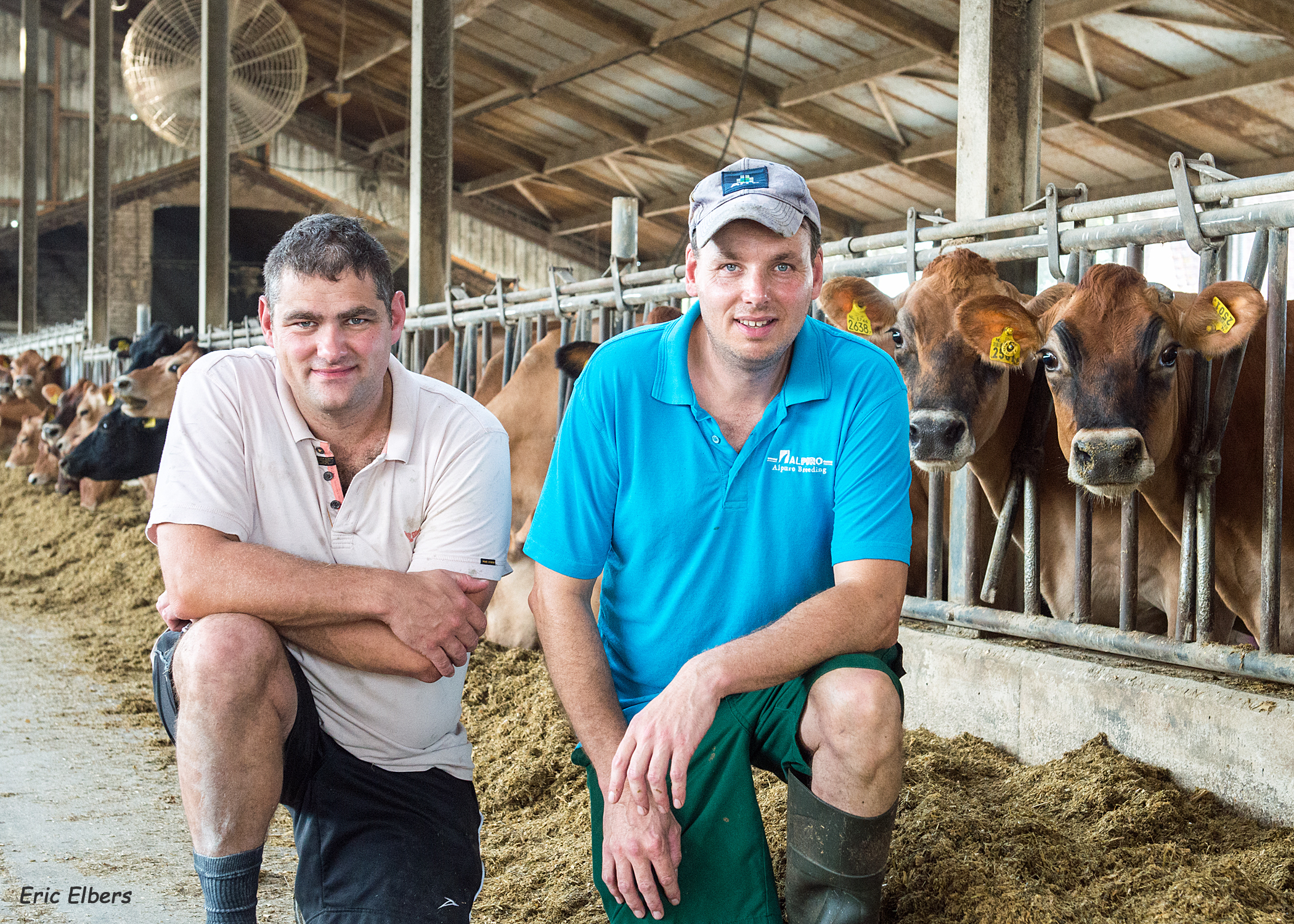 Veehouders William en Jos Donkers uit Erp met hun veestapel