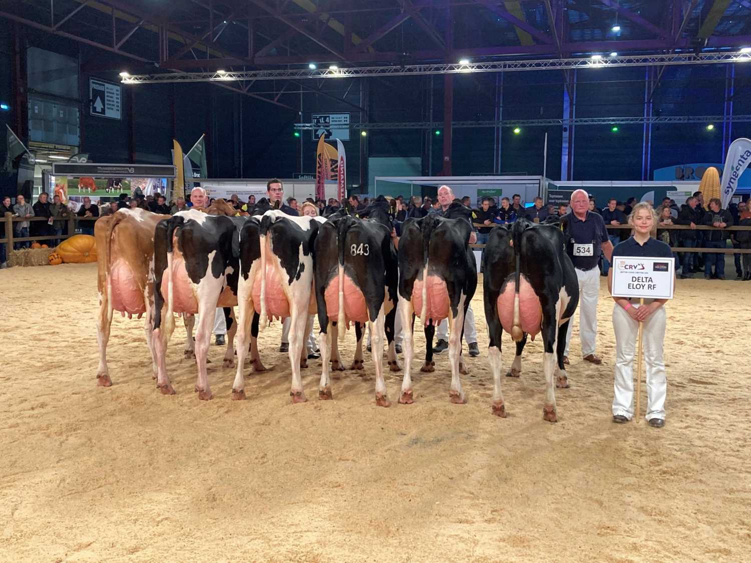 Delta Eloy progeny group at the HHH show