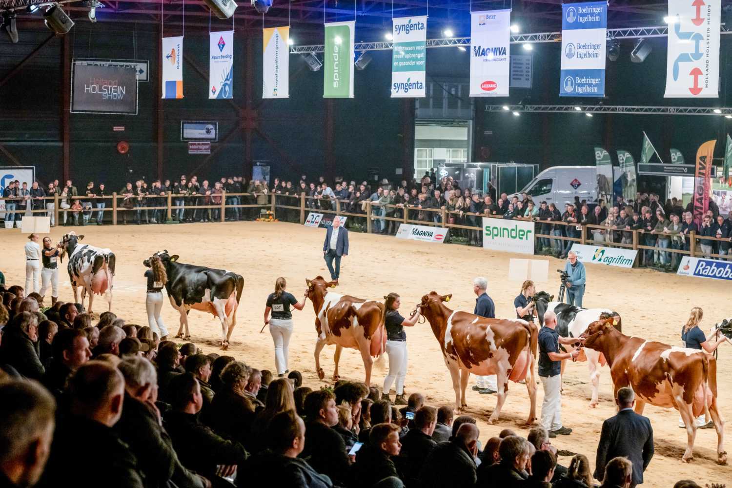 CRV aanwezig op de Holland Holstein Show!