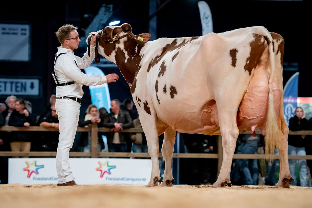 Trillie 171 wint productieklasse