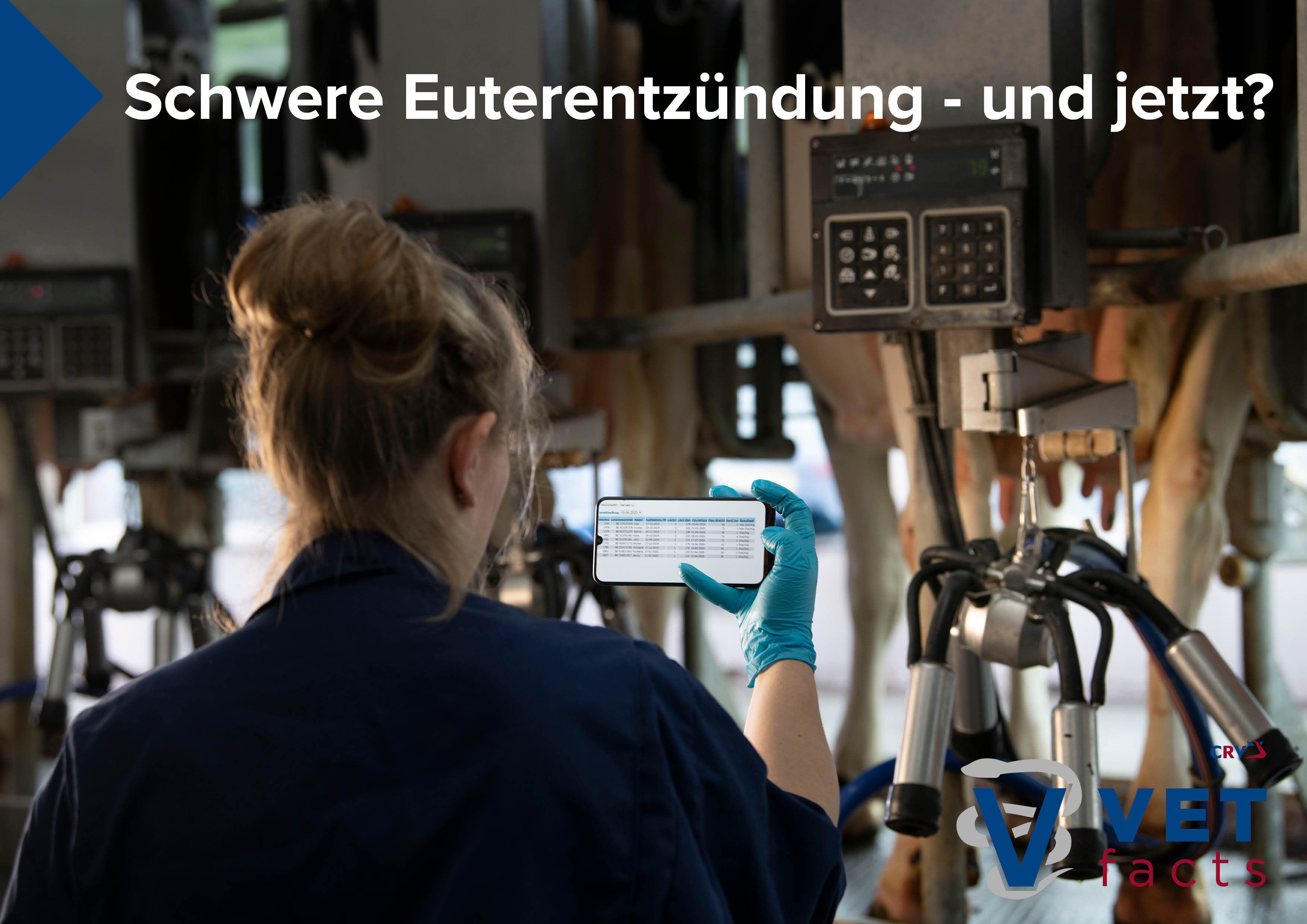 Vet facts - Schwere Euterentzündung