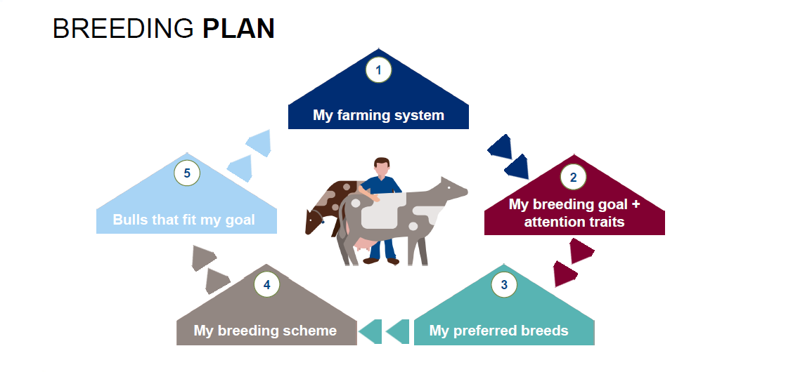 5 steps of the CRV farming system