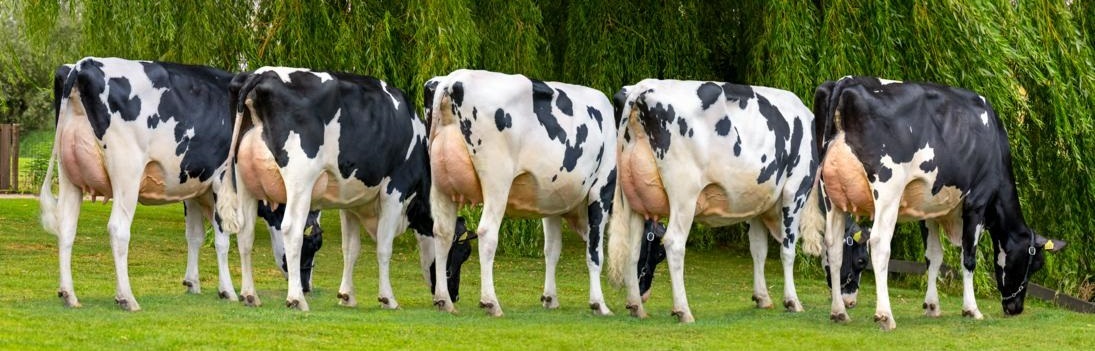 HHH in de startblokken