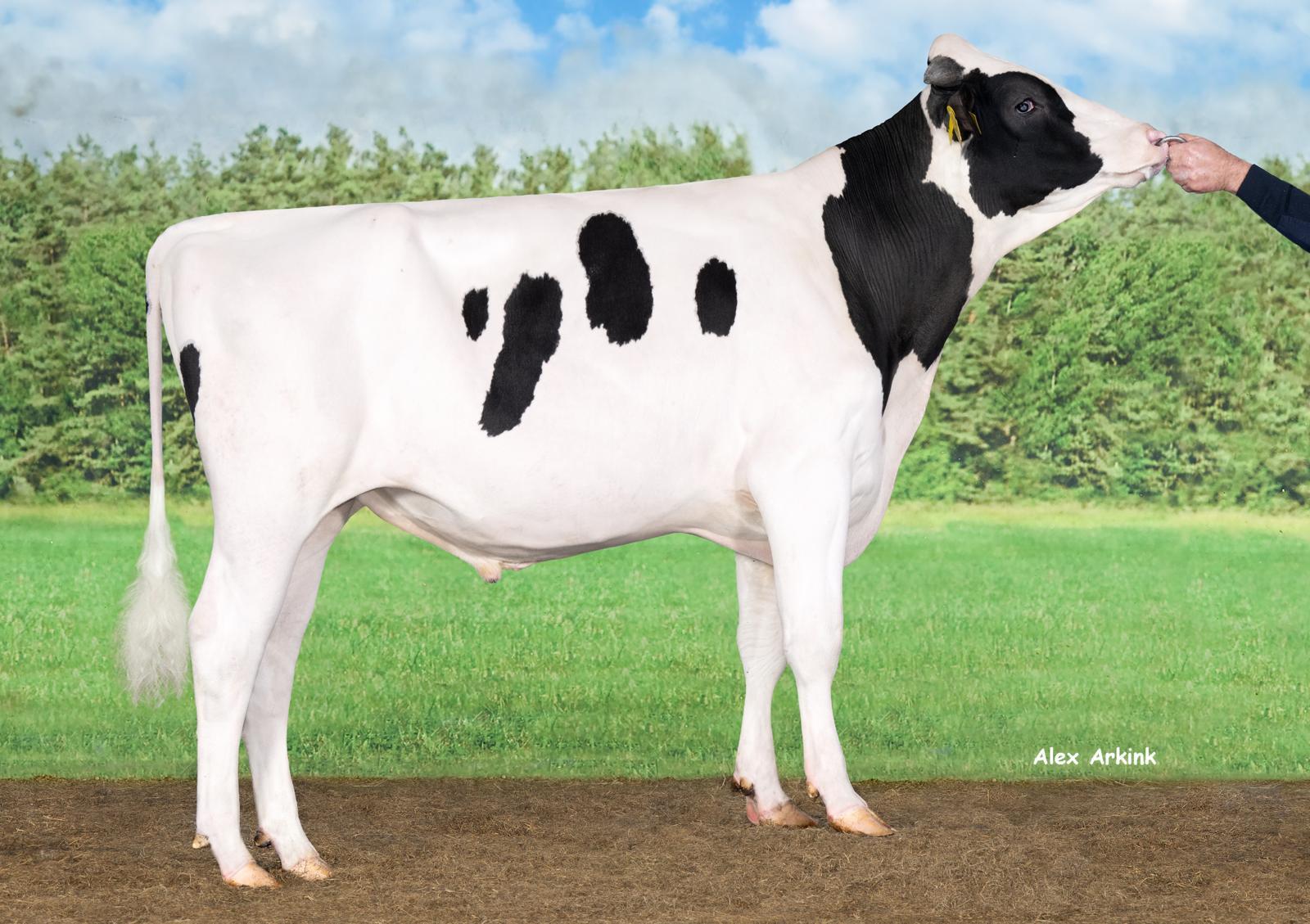 Delta Flexor takes strong strides toward high production
