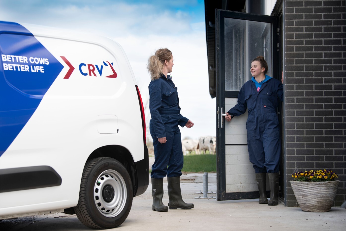 CRV's operating profit rose to 3.8 million euros in '24 – '25