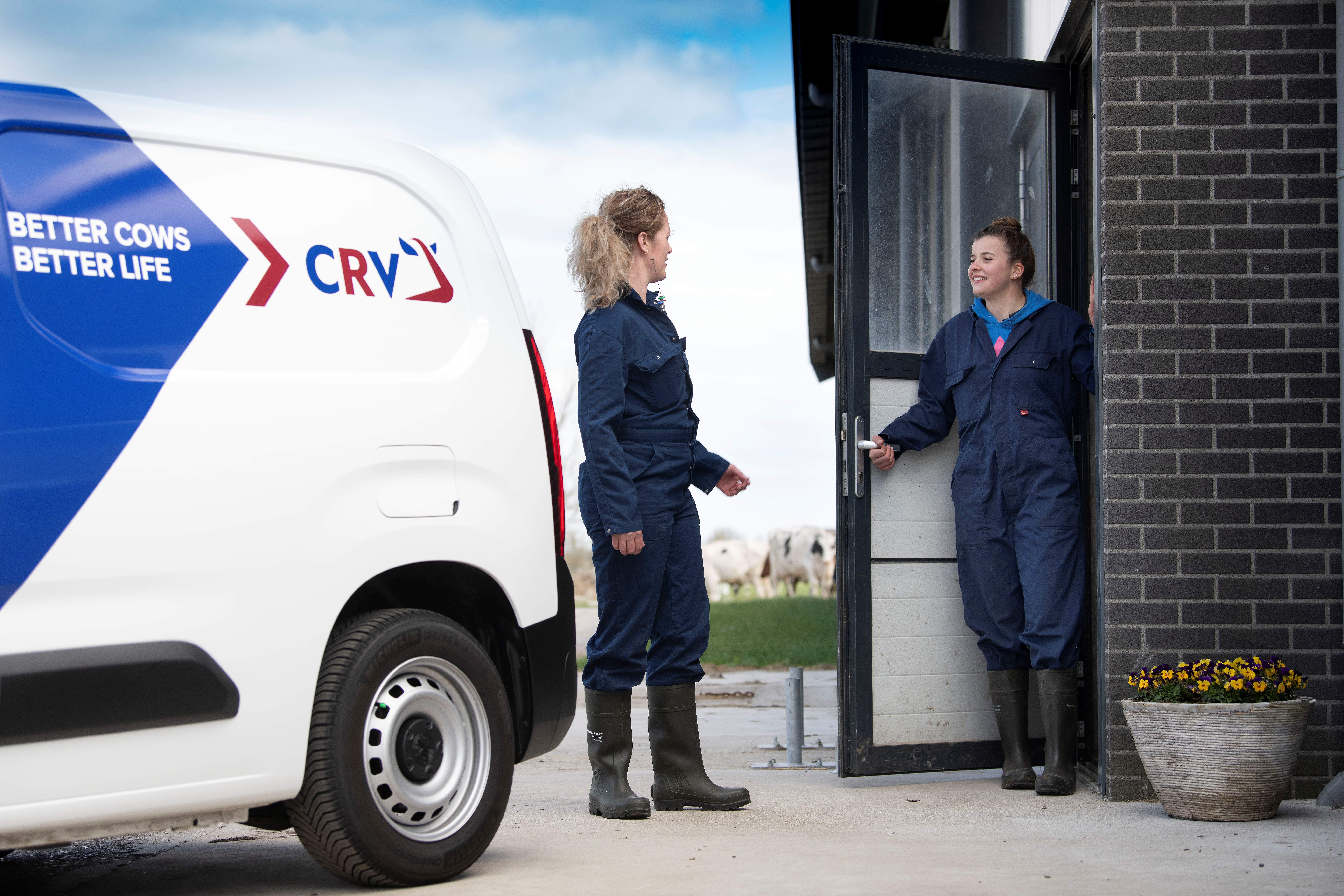 Bedrijfsresultaat CRV steeg naar 3,8 miljoen euro in 2024-’25