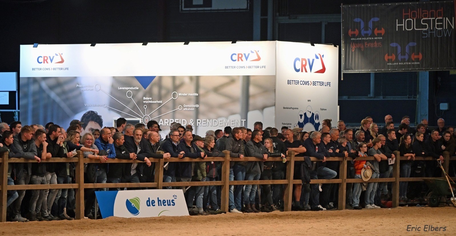 Dochters van CRV-stieren excelleren met hoge levensproducties op HHH-show