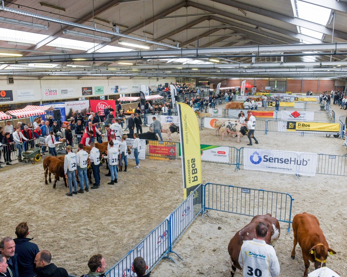 Nationale Vleesvee Manifestatie 2025