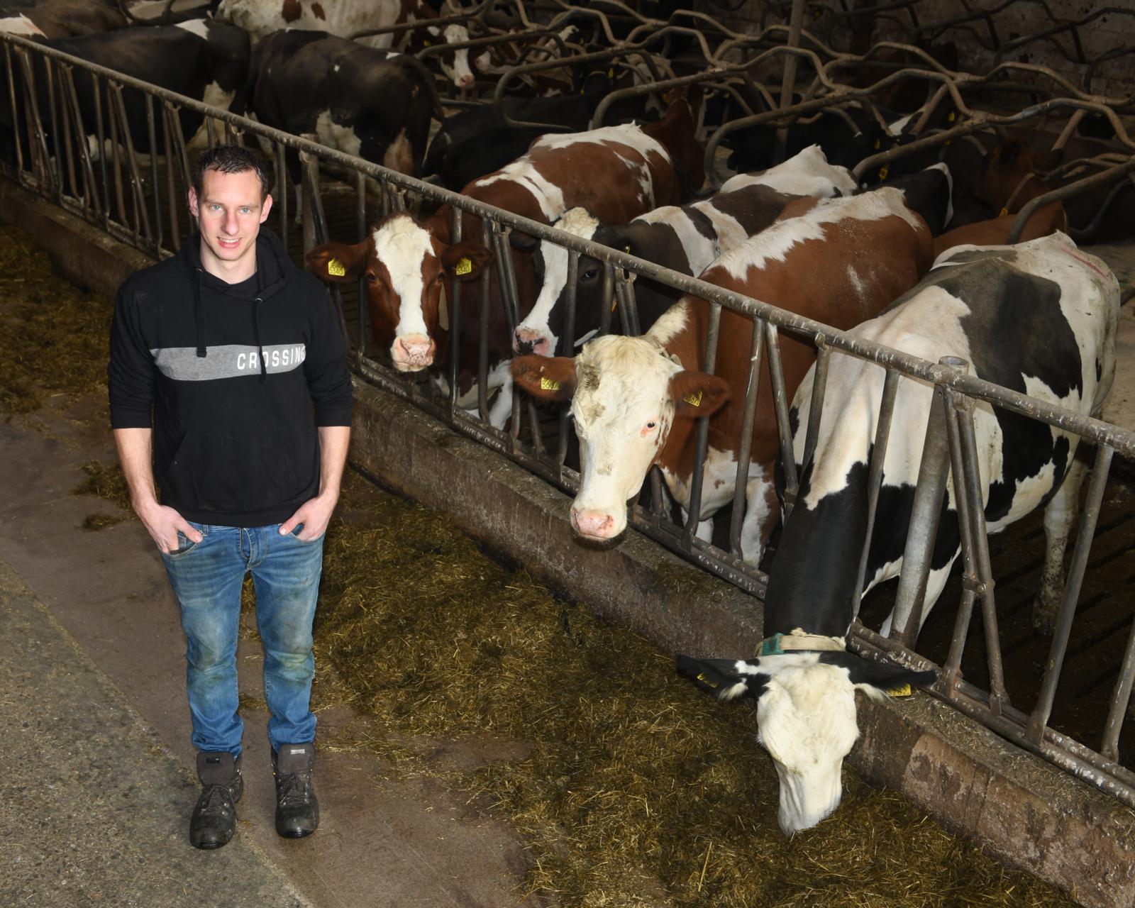 ‘Ik hoef niet meer achter de koe te twijfelen welke stier ik moet pakken’