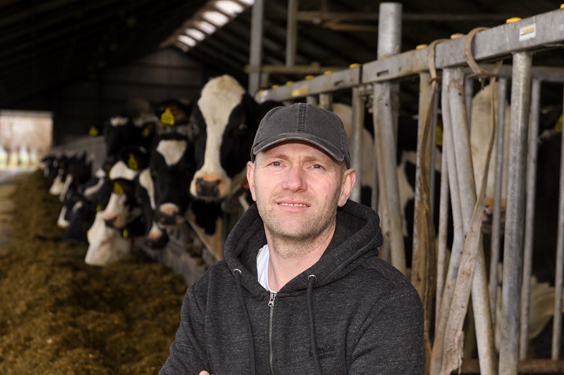 Melkveehouder Jan Priems uit De Mortel met Bluejay dochter Liesje 992 op de achtergrond.