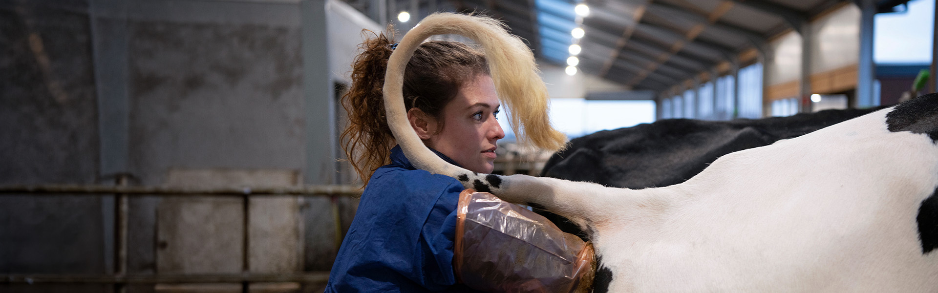 <p>Besamungsservice</p>