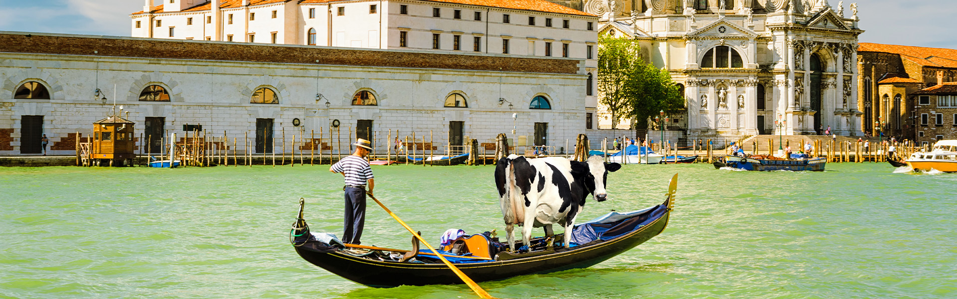 <p>Bilder Malwettbewerb Karpfham 2025</p>