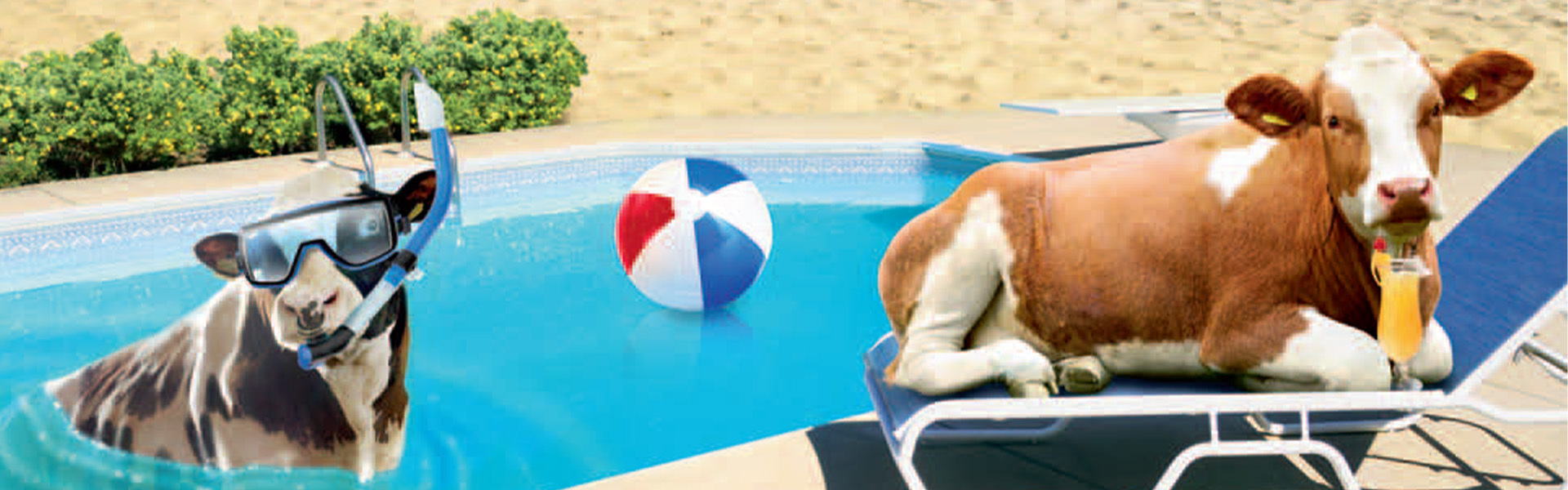 <p>Bilder Malwettbewerb Karpfham 2024</p>