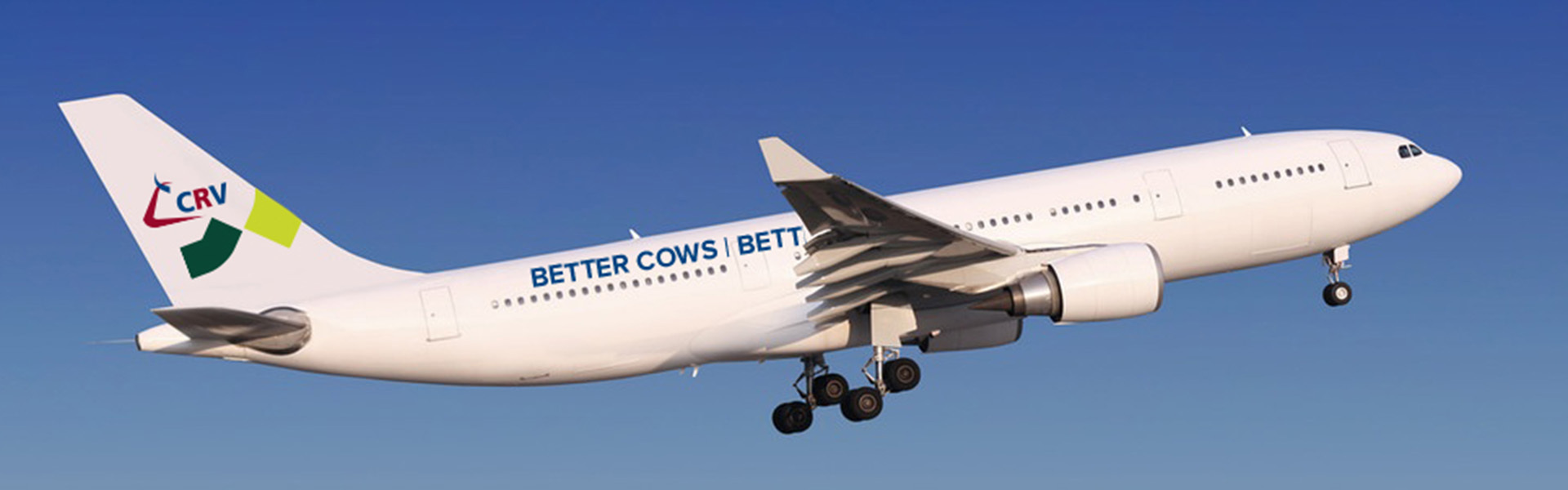 <p>Bilder Malwettbewerb Homepage</p>