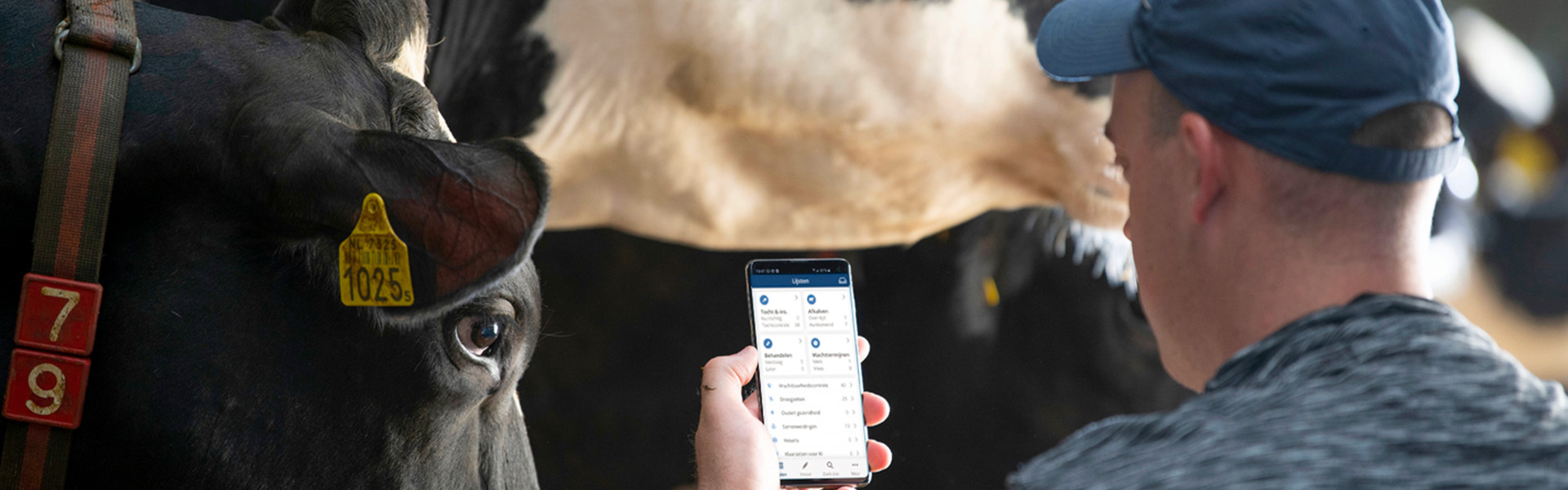 <p>Brunsterkennung</p>