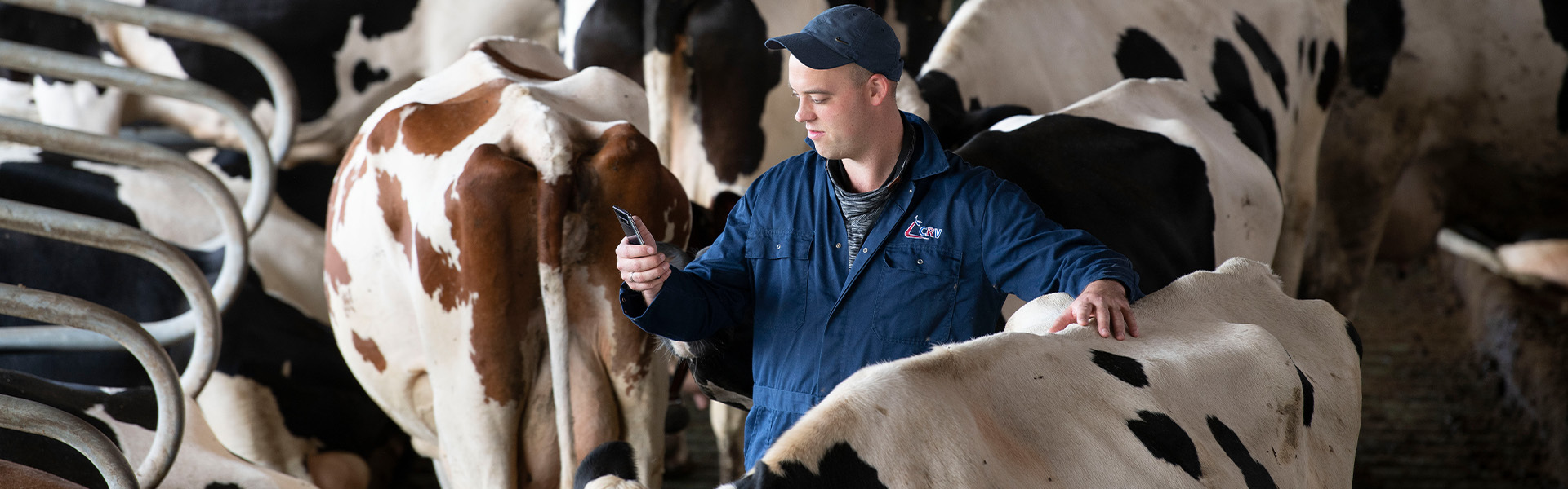 <p>CRV Serviceprodukte</p>