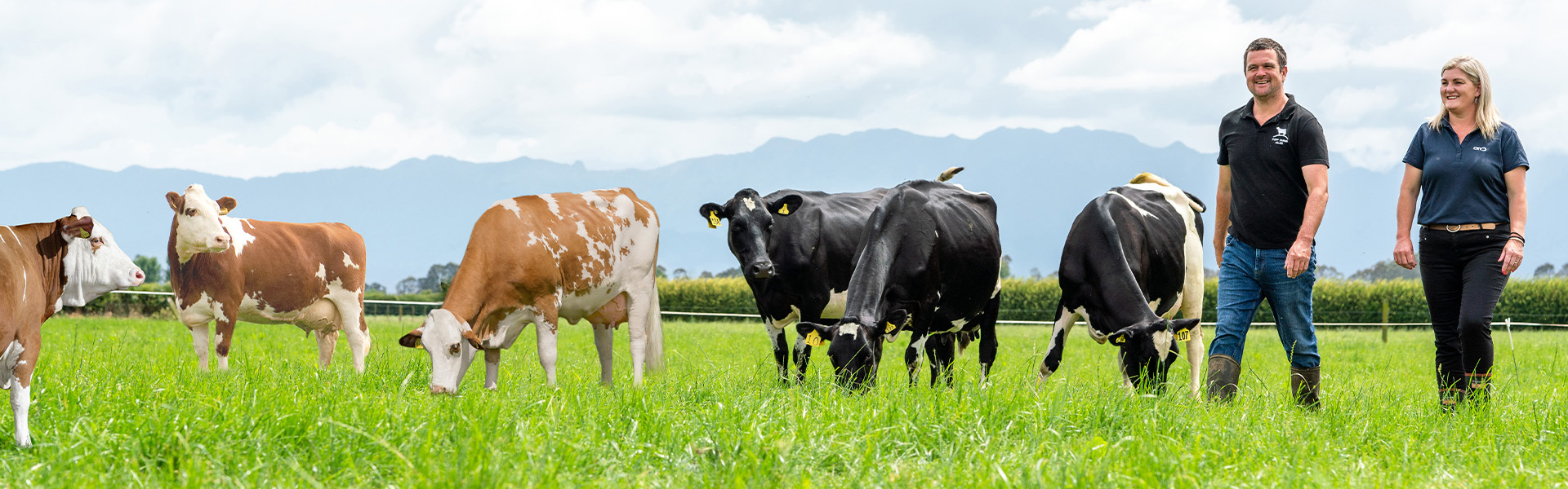 <p>Imagebroschüre</p>