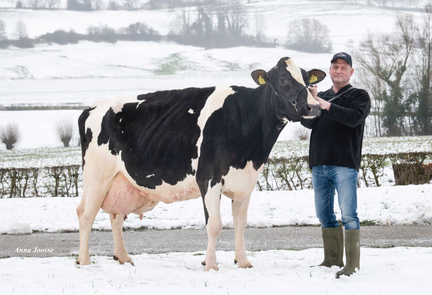 Ejemplar de la cría de Apina Nadja produce 100.000 KG de leche