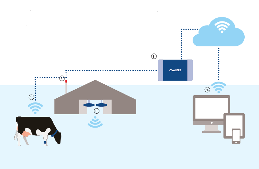 Illustration of how Ovalert works