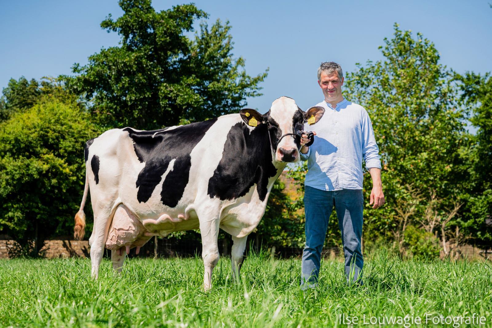 Veehouder Wannes Masscheleyn met koe Sneeker 548, Zwanebloem Holsteins.