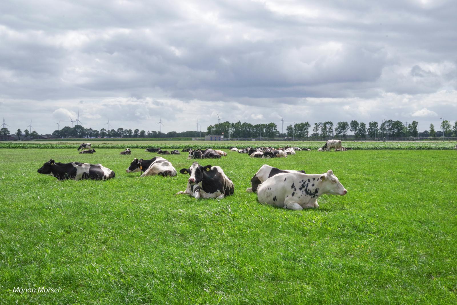 Veestapel van Mittendorff-Klok