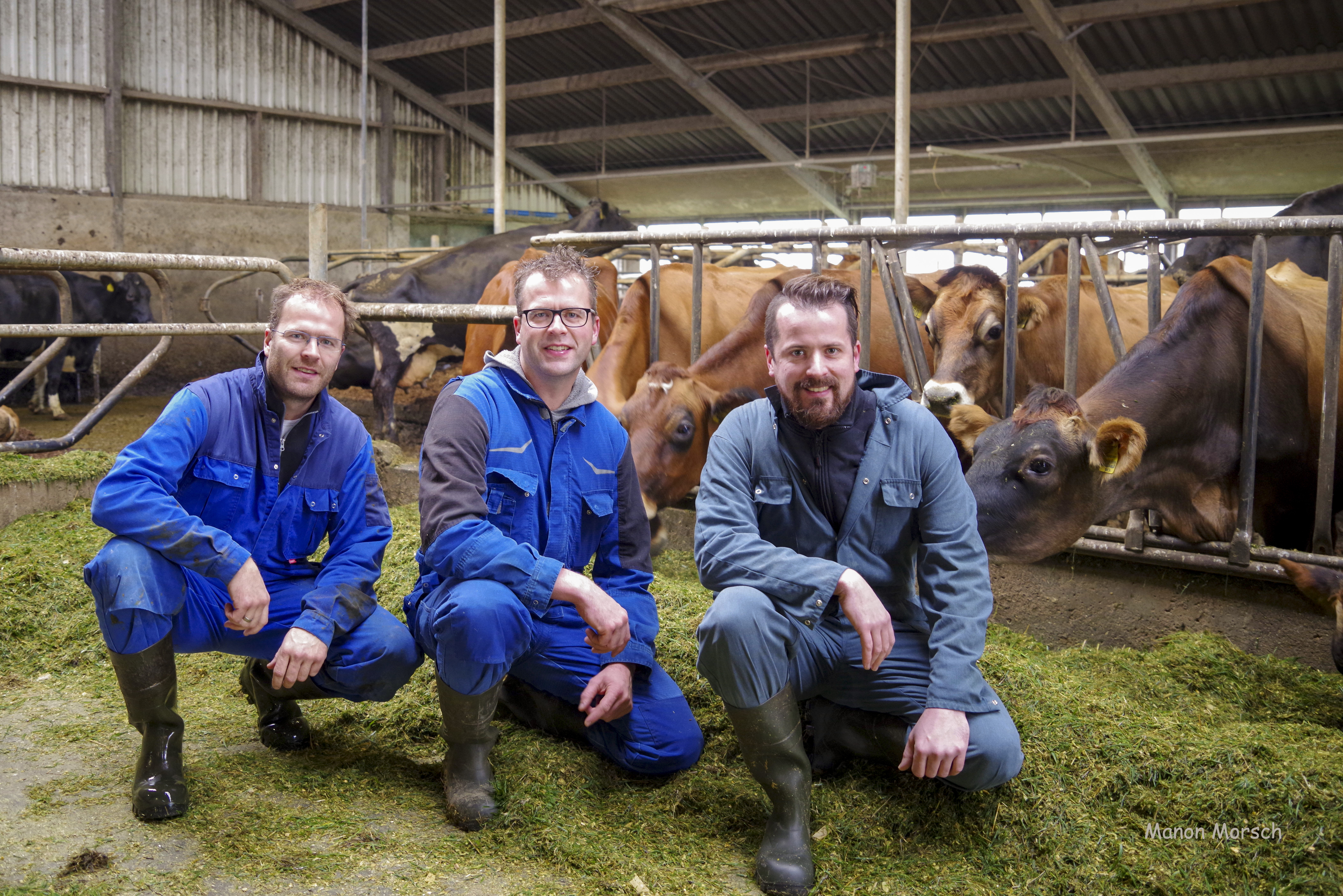 Melkveehouders Hendrik, Teunis en Delian Kool van Waterlinie Melkvee