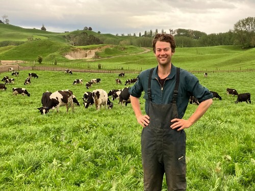 Sexed semen helps Tirau farmer further genetic gain