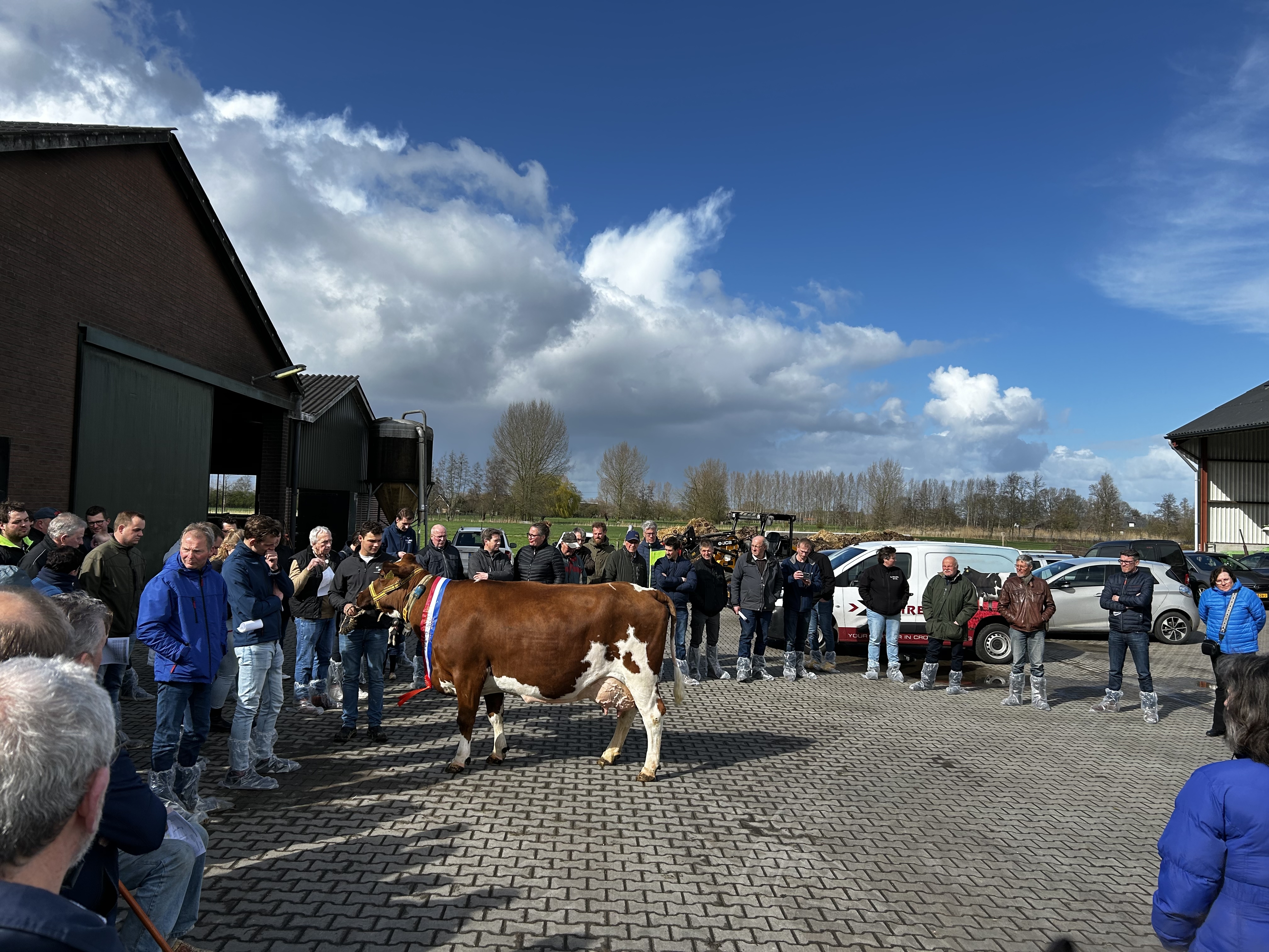 Gonda 380 gekroond tot MRIJ-koe van het jaar