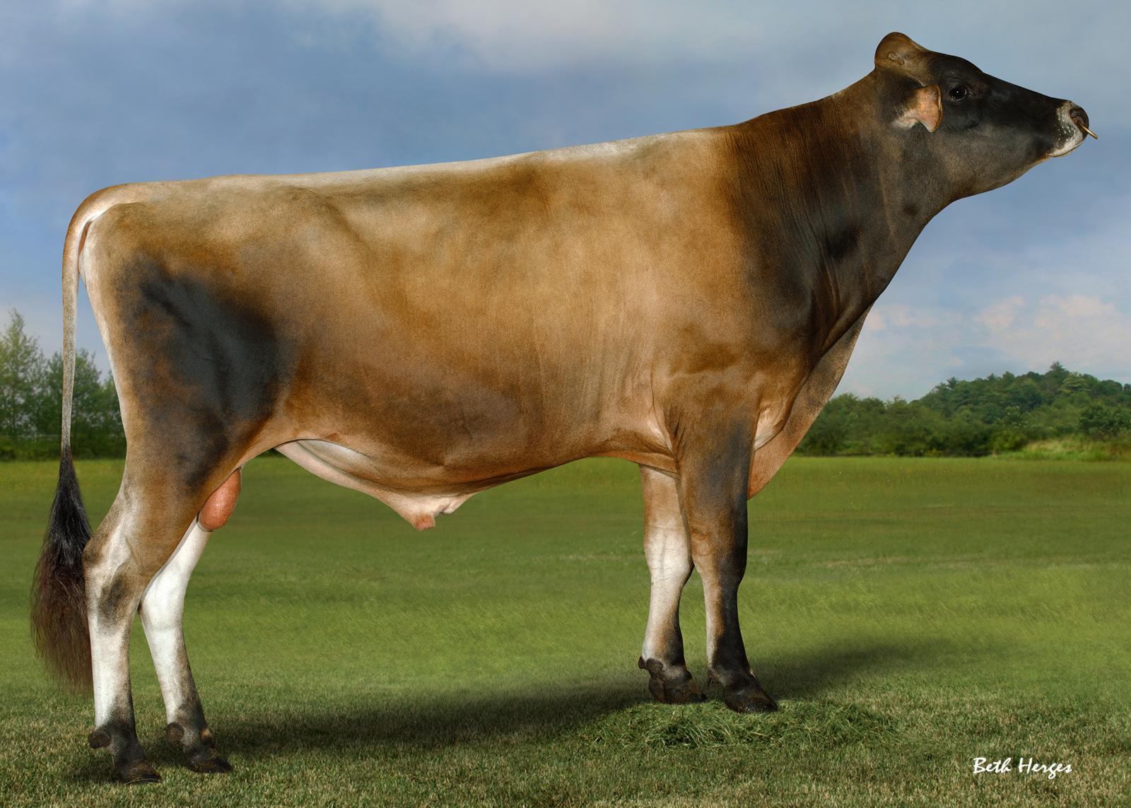 River Valley Crackerjack