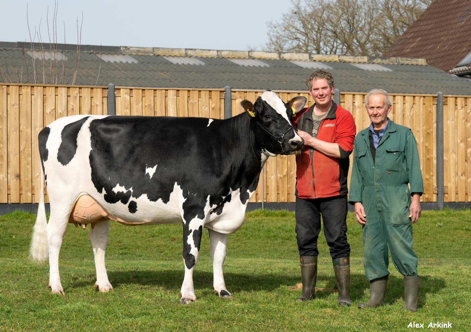 Compacte Skoiendochters onderscheiden zich in groot koppel