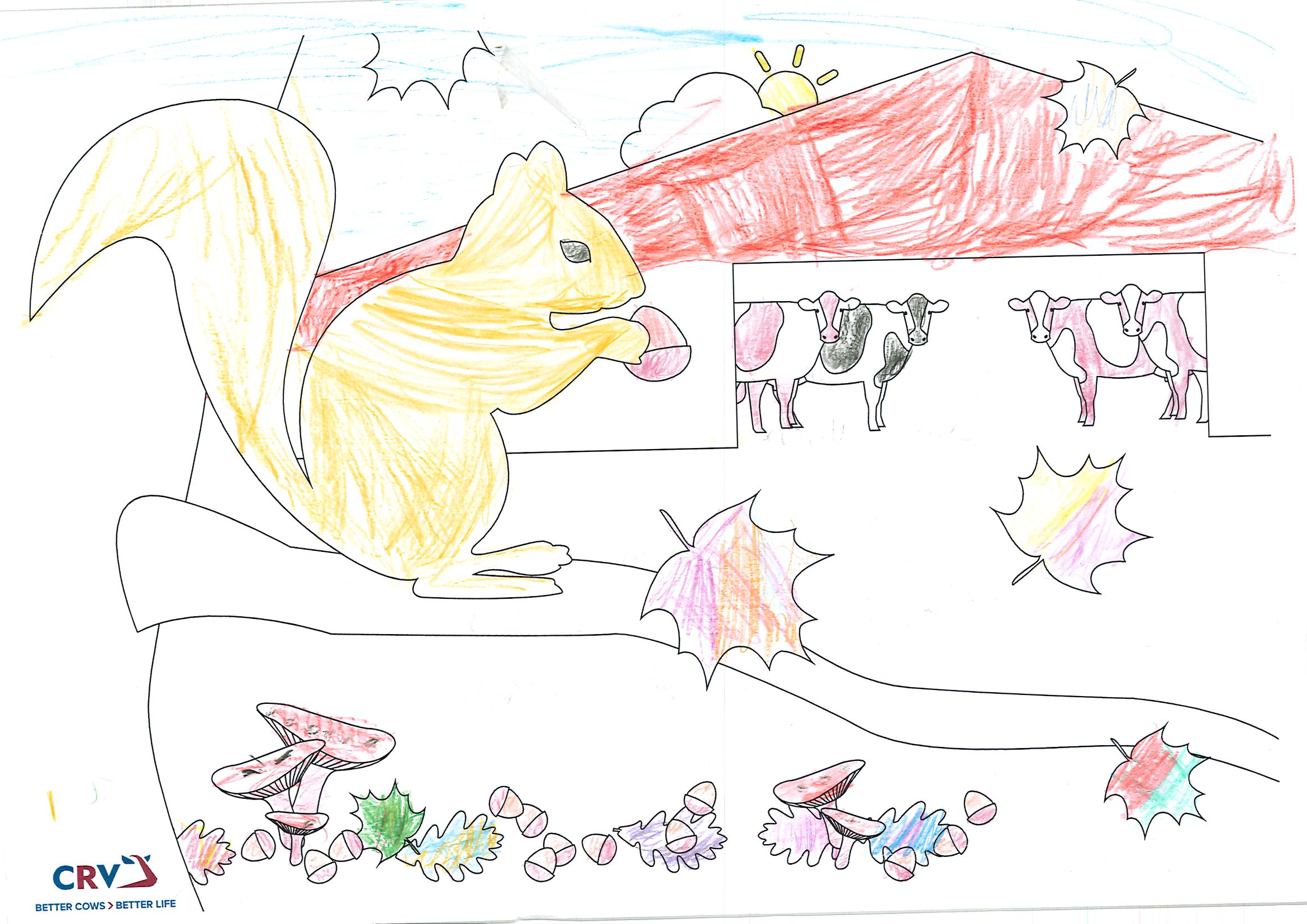 Johanna Fischer, 6 Jahre