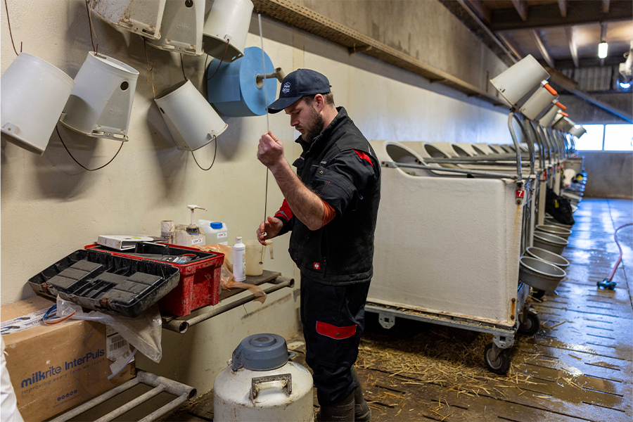 SiryX bringt Sicherheit