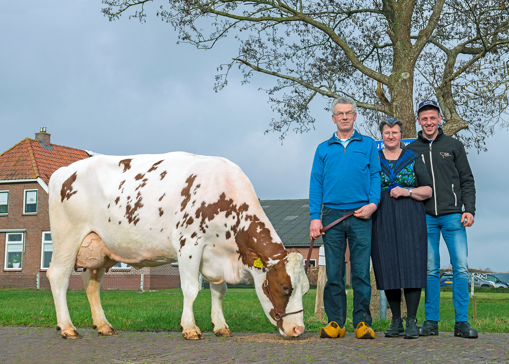 Met Joris is het eindelijk raak voor mrij-koe van het jaar Joze 145