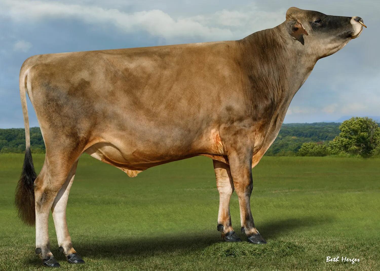 Jx Metcalf Ripp