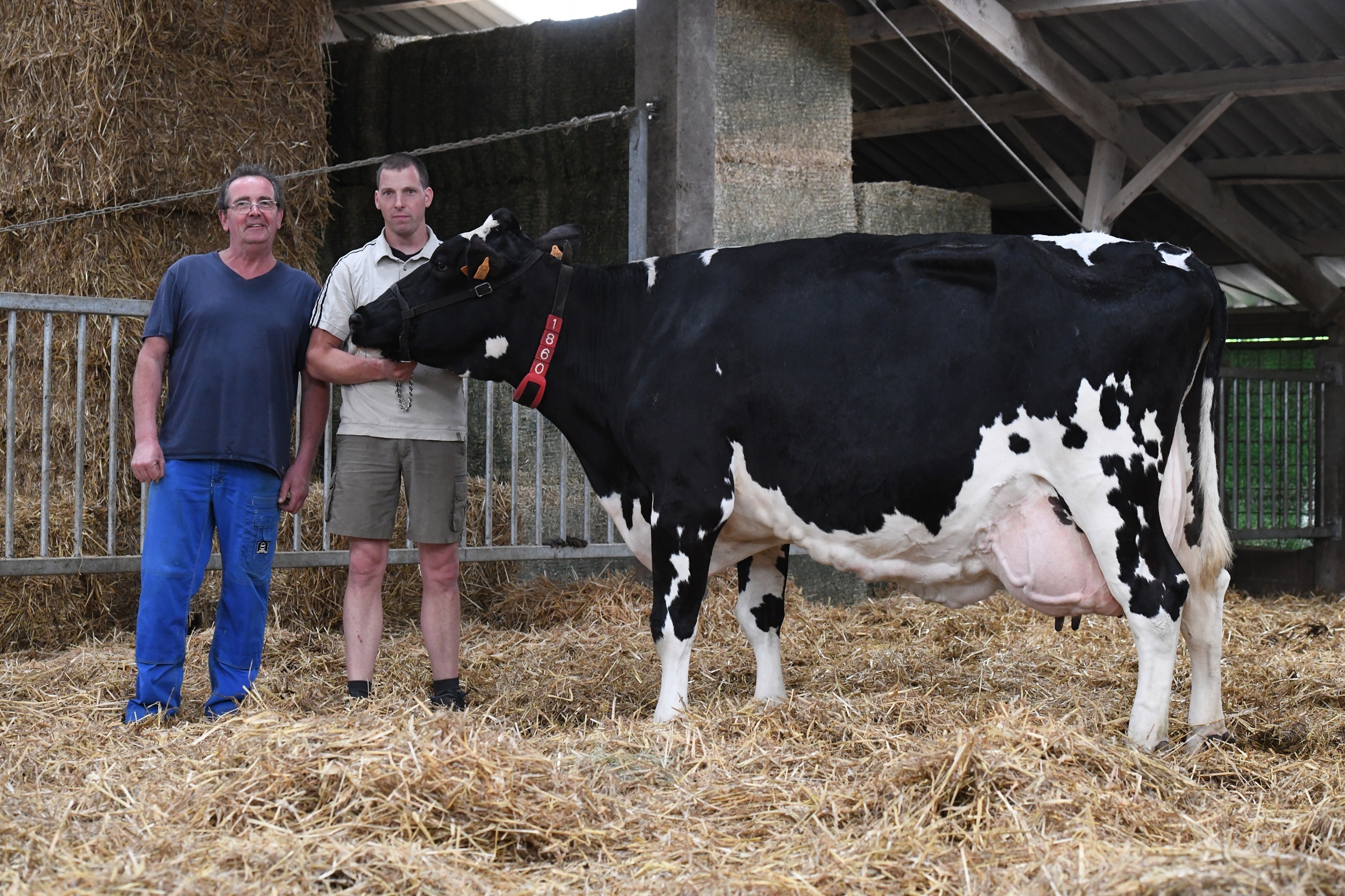 Veehouders Guy en Koen met koe Op 't Roodt Elara