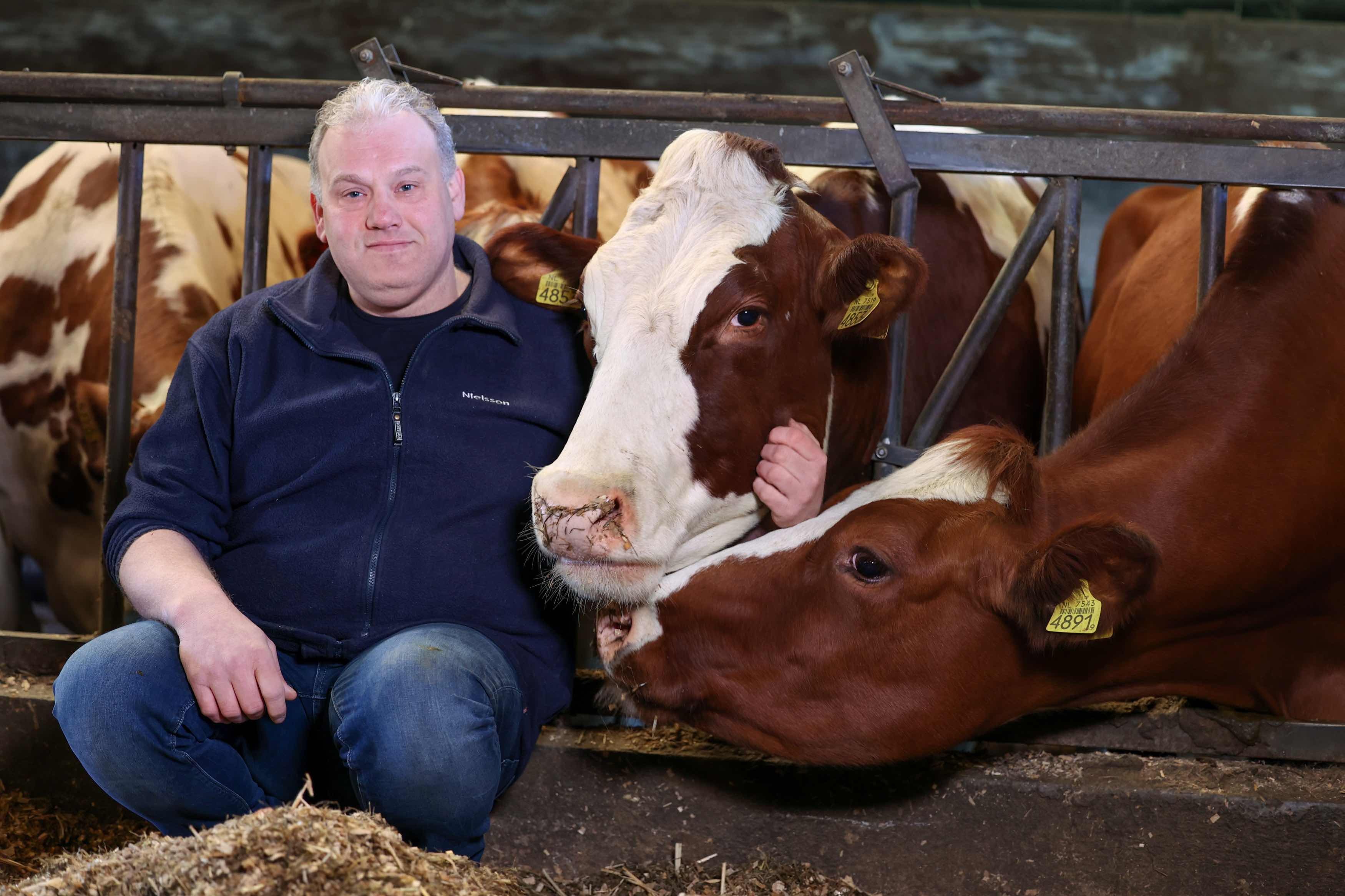 Fokker Johan van Kronenburg bij de moeder van mrij-stier Bliksem, Irene 80