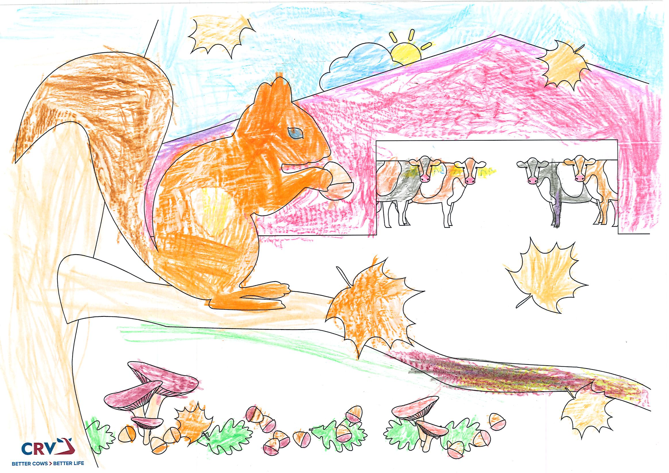 Katharina Votz, 6 Jahre