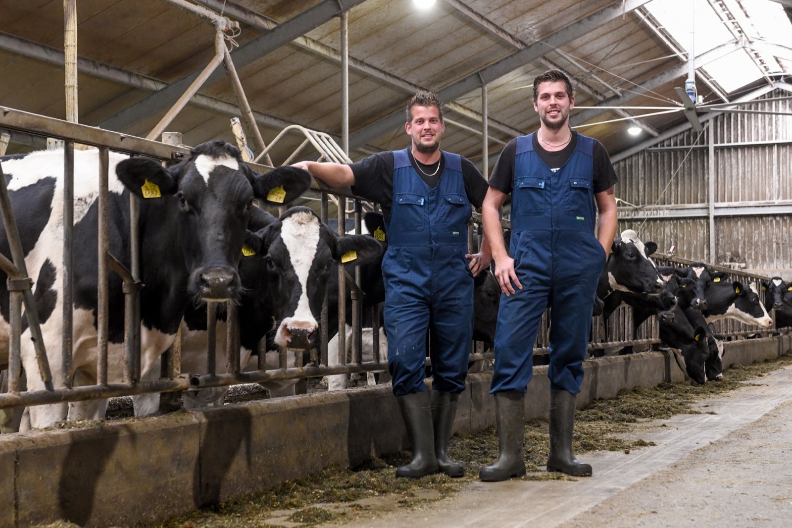 Lammert (links) en Sieberen (rechts) Knobbe bij hun veestapel