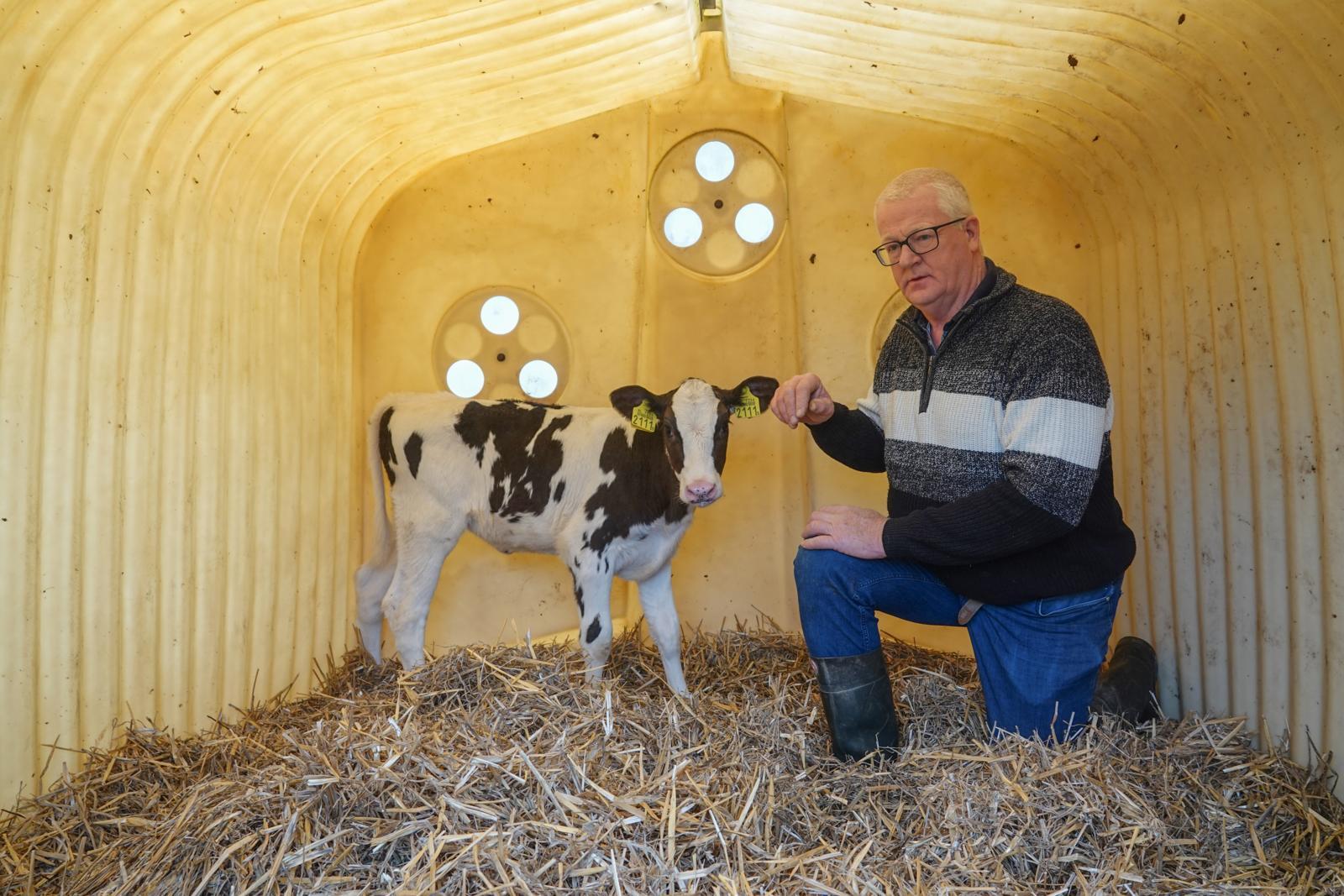 ‘Met laatstekansembryo’s redden we koeien’