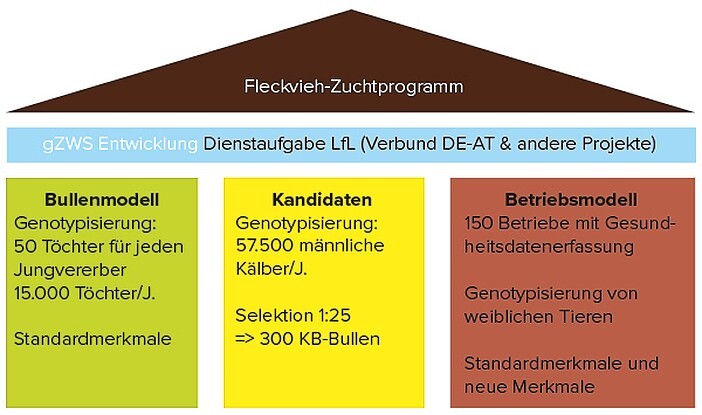 Genomische Selektion: Darum braucht’s Kühe für die Lernstichprobe!