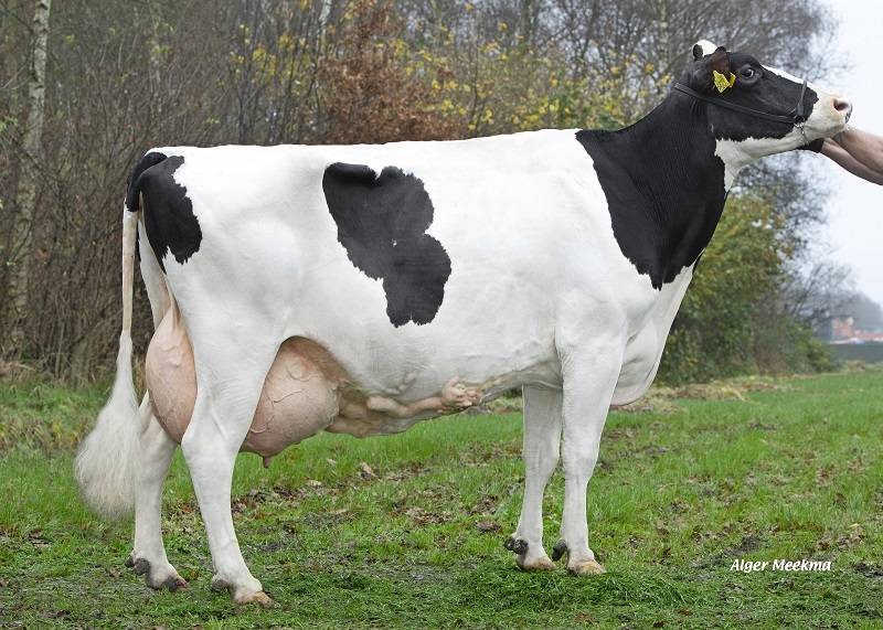 Delta Snoopy (AB 87), passeerde net als haar grootmoeder de 100.000 liter.