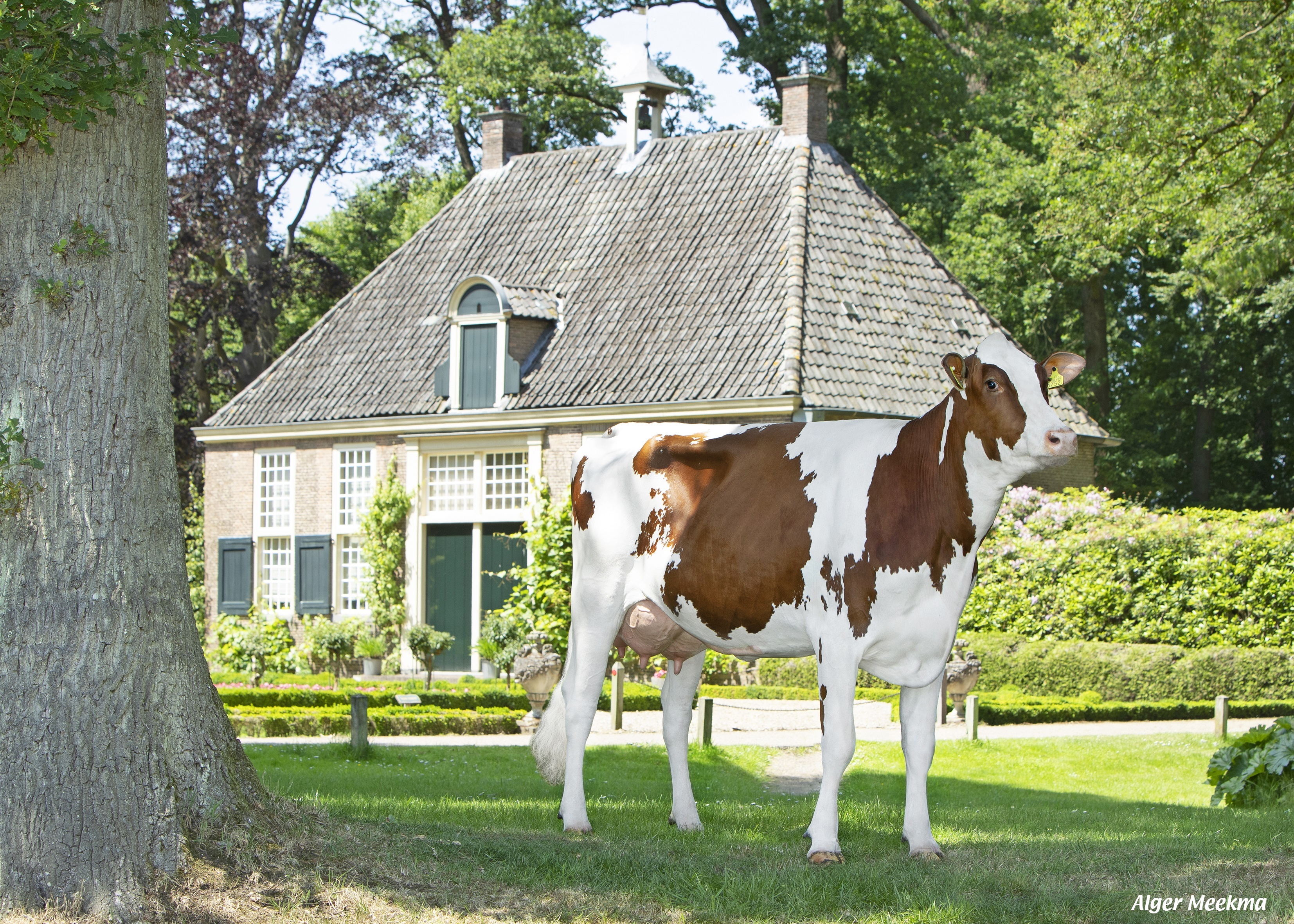 Abundant dochter. Hieruit kunt u zeven Launch-PP  dochters bewonderen