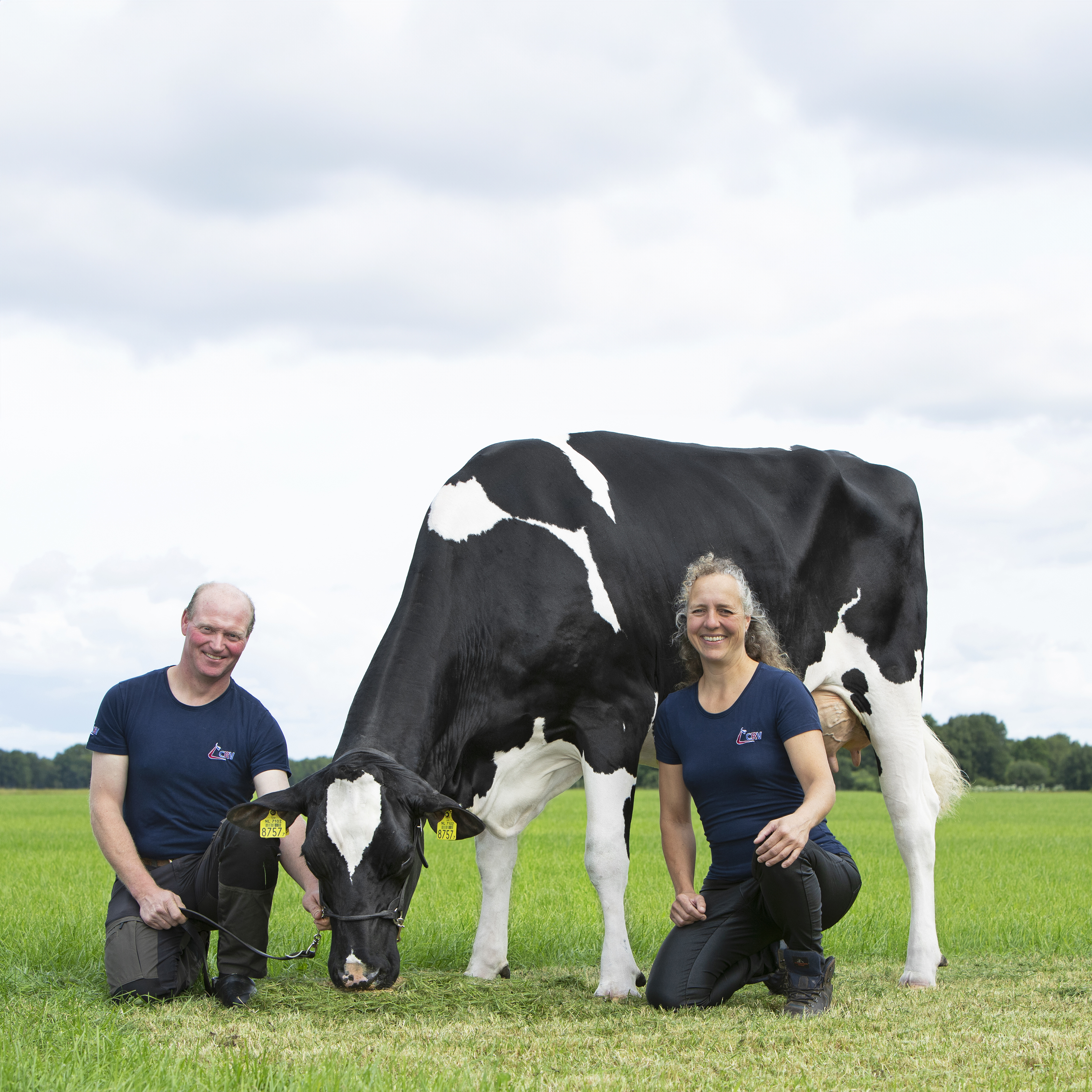 Hoge producties op CRV Testbedrijf Double W Holsteins