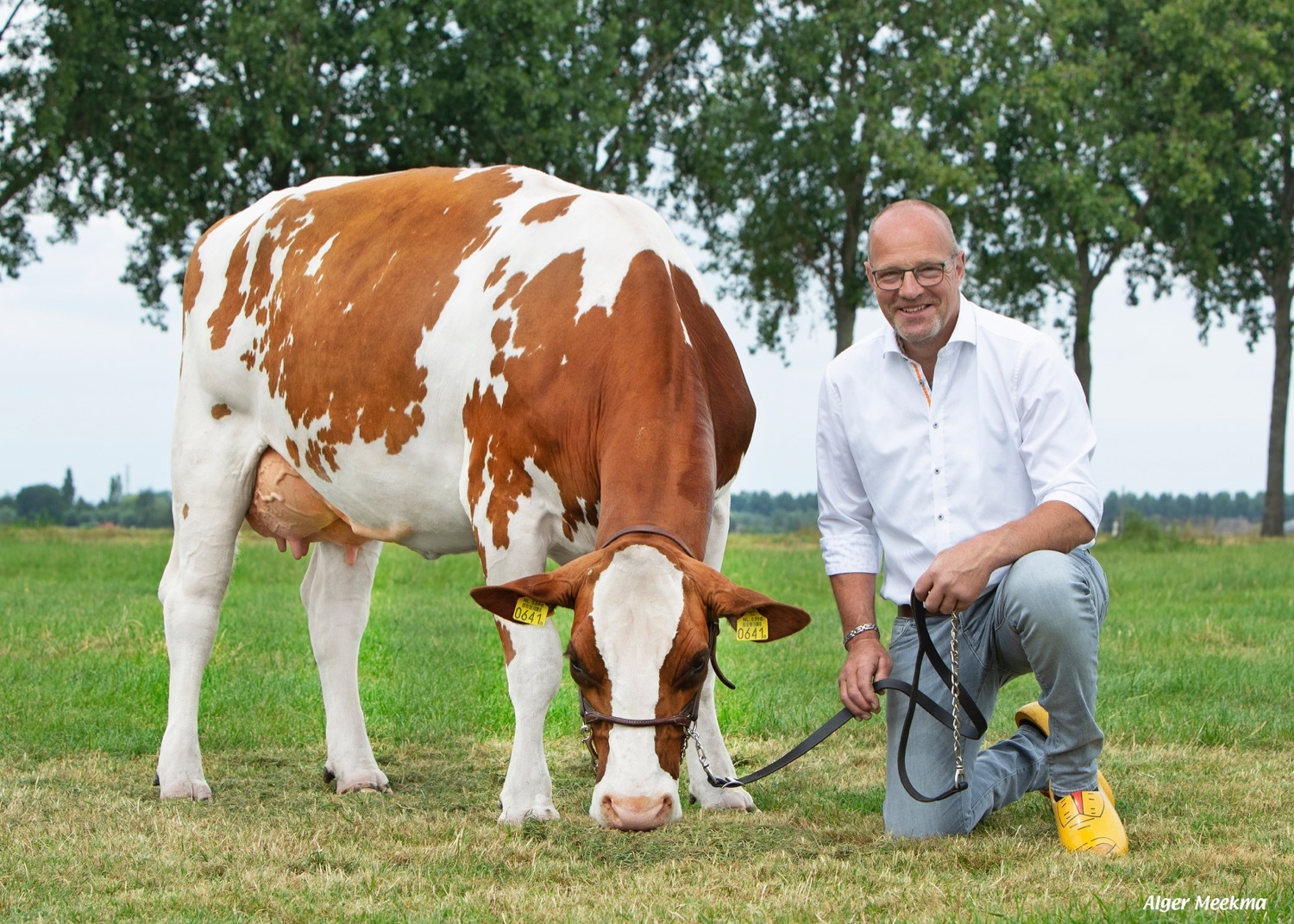 Rudo dochter De Vinkenhof Danielle 195 met eigenaar Andre Vink van V.o.f De Vinkenhof, Groot Ammers.