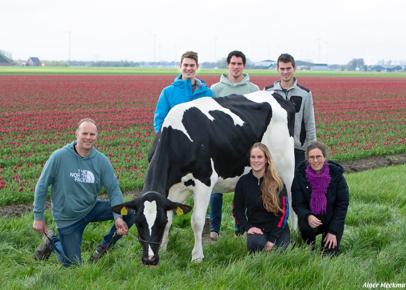 Met Elite-embryo’s naar Elite veestapel