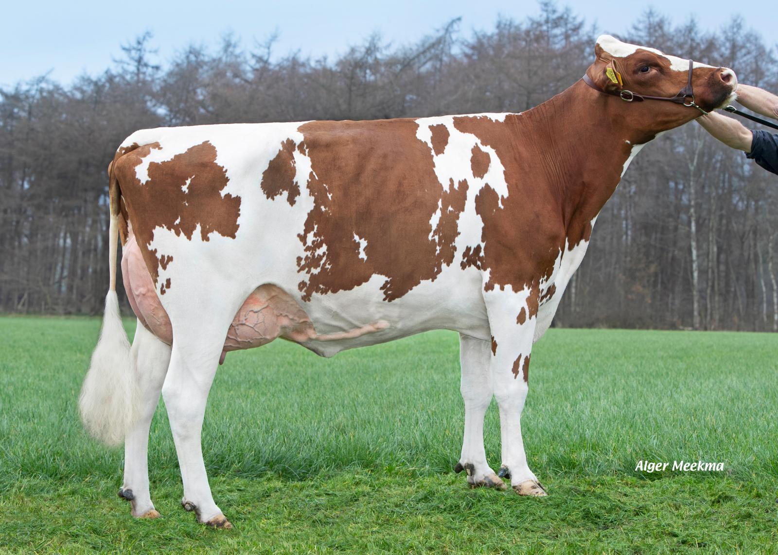 Delta Geke P Red (v. Launch PP), eig.: VOF Booij-Ottens, Benneveld