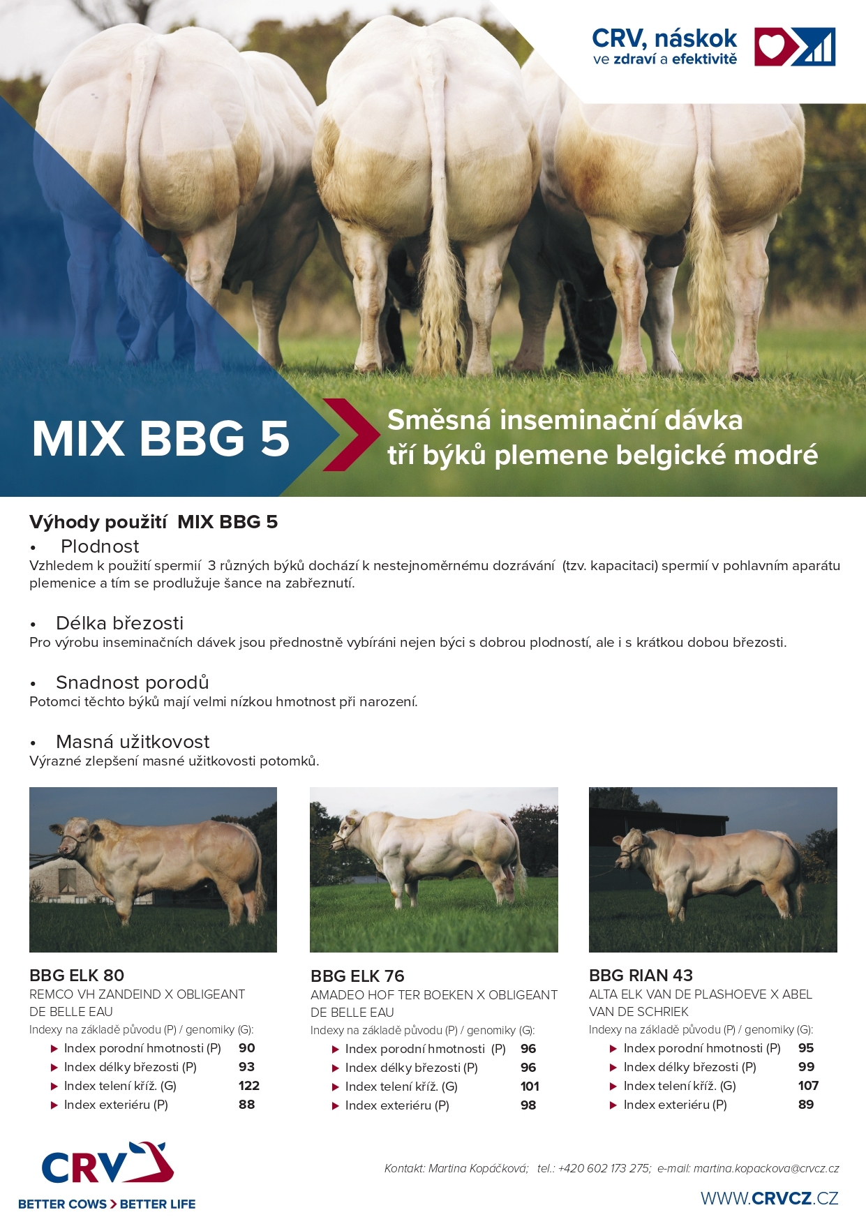 katalogový list - MIX BBG 5