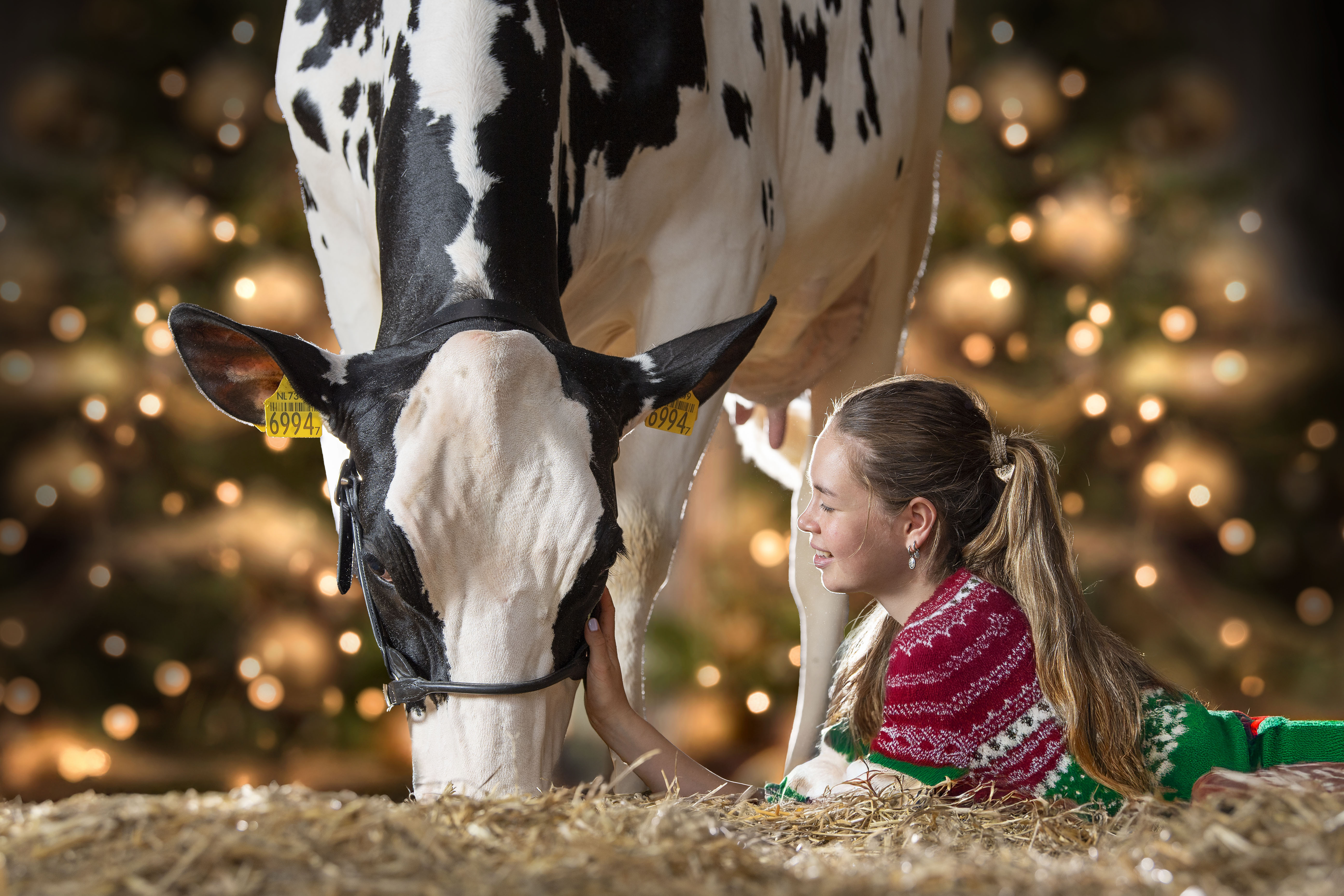 Let op: langere doorlooptijd in december