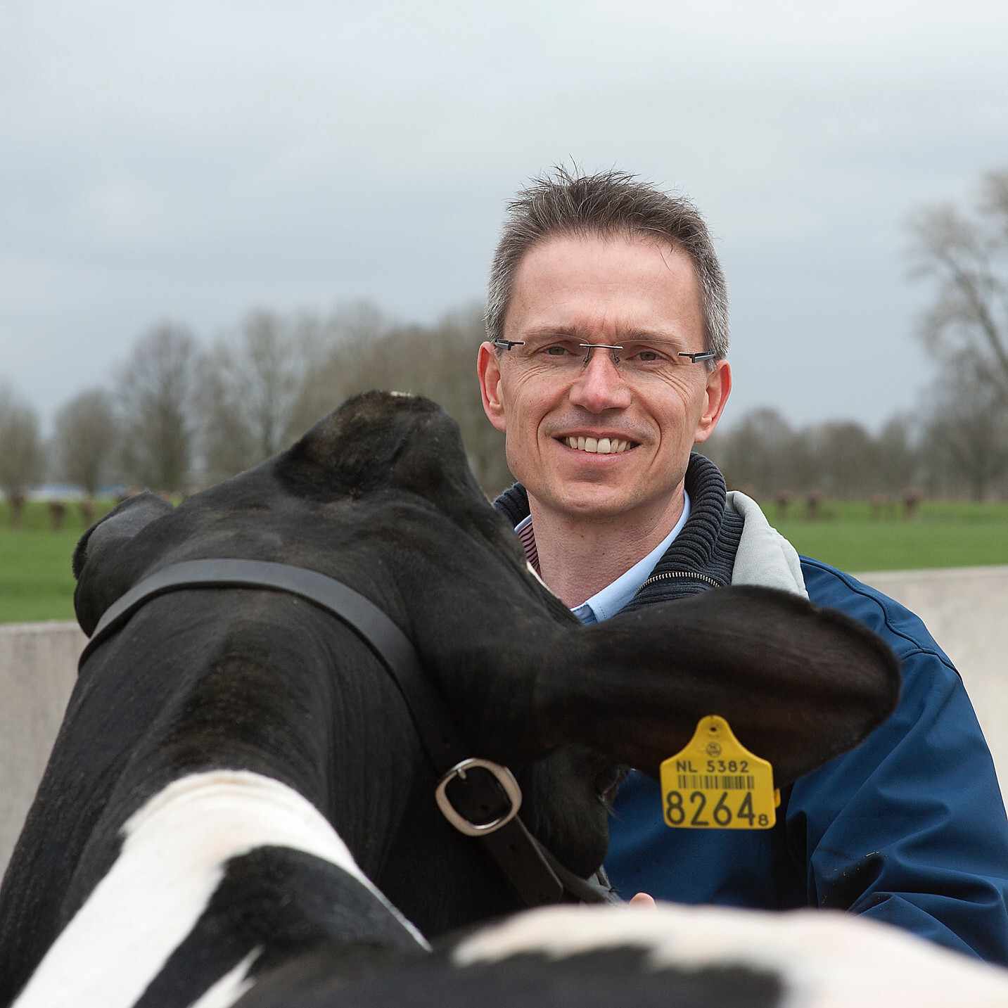 Breeding technician Marcel Fox on breeding for polledness